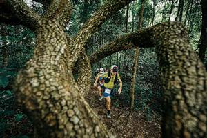 BIB: 
                            <button type="button" onclick="openModal(25393101)" class="btn btn-primary btn-sm float-right btn-popup" data-toggle="modal" data-target=".modal-high-quality">
                        <i class="fas fa-shopping-cart"></i> Add to Cart
                    </button>
                                            <button type="button" onclick="isThisMe(25393101, true)" class="btn btn-success btn-sm float-right btn-popup btn-isme hidden" data-toggle="tooltip" data-placement="bottom" title="นี่คือรูปของคุณใช่ไหม คลิกที่นี่เพื่อเอาเข้าอัลบั้ม">
                        <i class="fas fa-plus"></i> Add to album
                    </button>
                    <button type="button" onclick="isThisMe(25393101, false)" class="btn btn-warning btn-sm float-right btn-popup btn-isnotme hidden">
                        <i class="fas fa-ban"></i> Remove from album
                    </button>